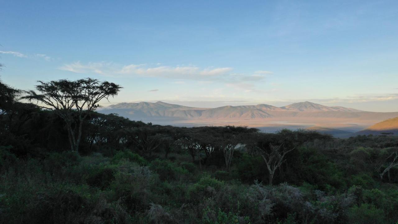 Lions Paw Ngorongoro Hotel Exterior foto