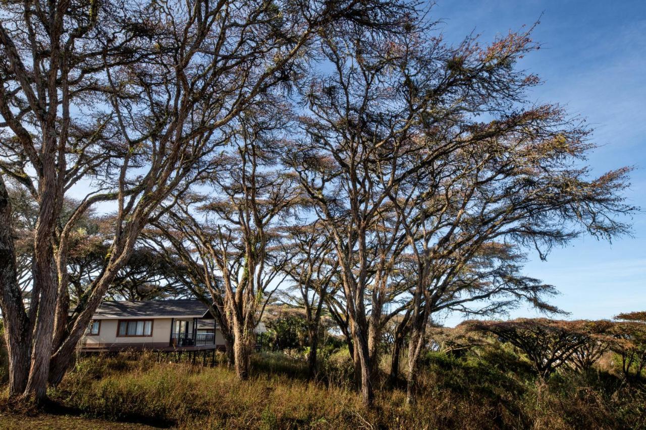 Lions Paw Ngorongoro Hotel Exterior foto